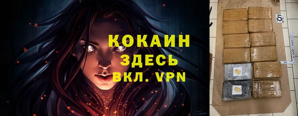 прущие грибы Абинск