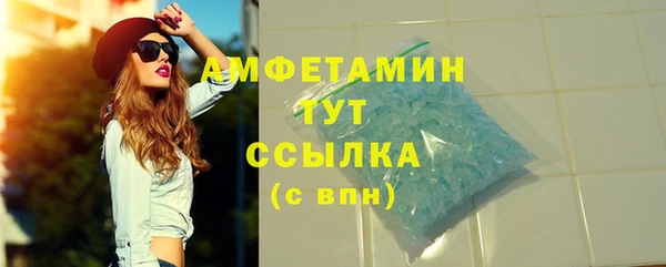 прущие грибы Абинск