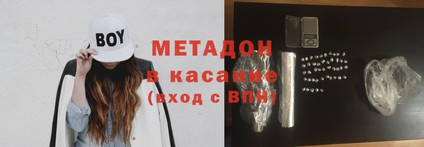 прущие грибы Абинск