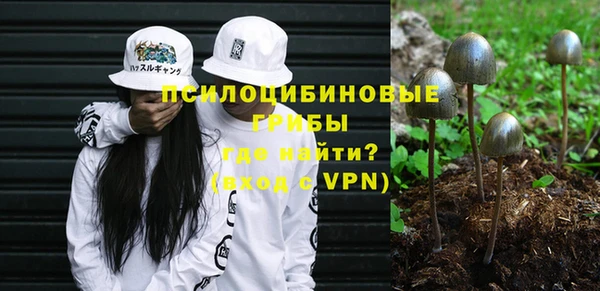 прущие грибы Абинск