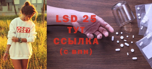 прущие грибы Абинск