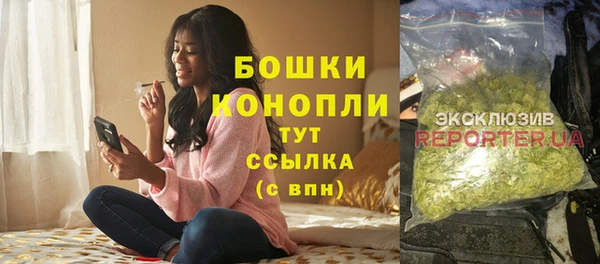прущие грибы Абинск