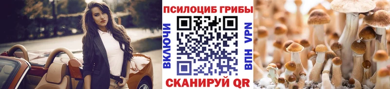блэк спрут как зайти Тула Галлюциногенные грибы ЛСД