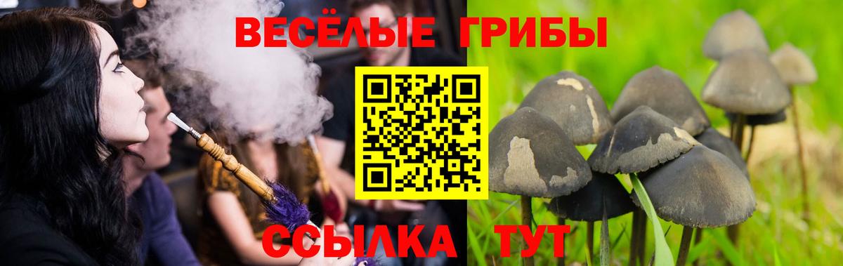 Псилоцибиновые грибы прущие грибы Тула